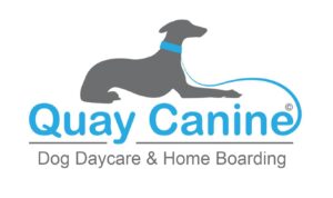 Quay Canine Logo